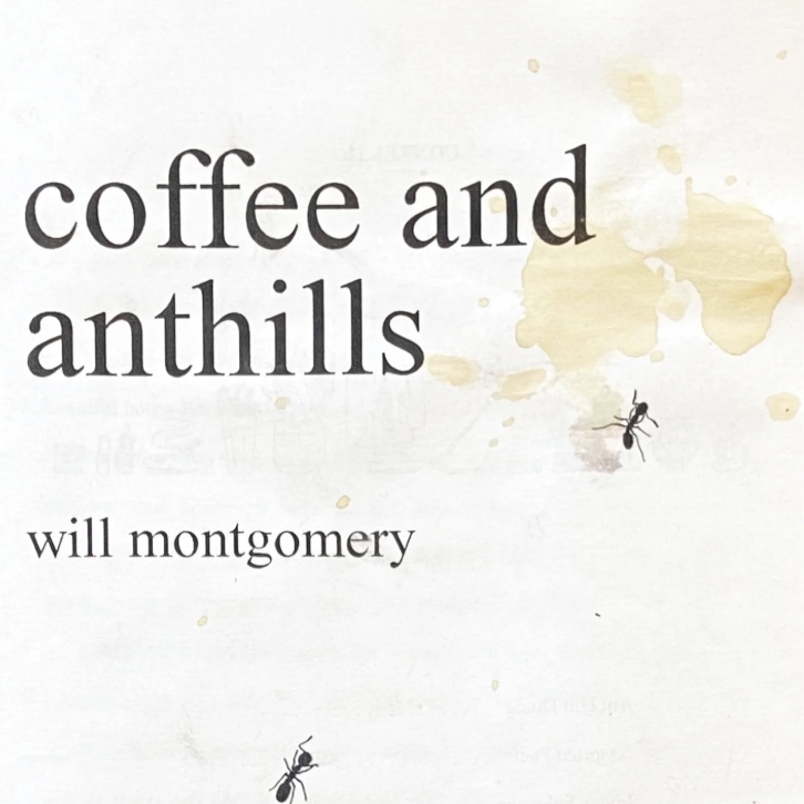 coffee and anthills thumbnail