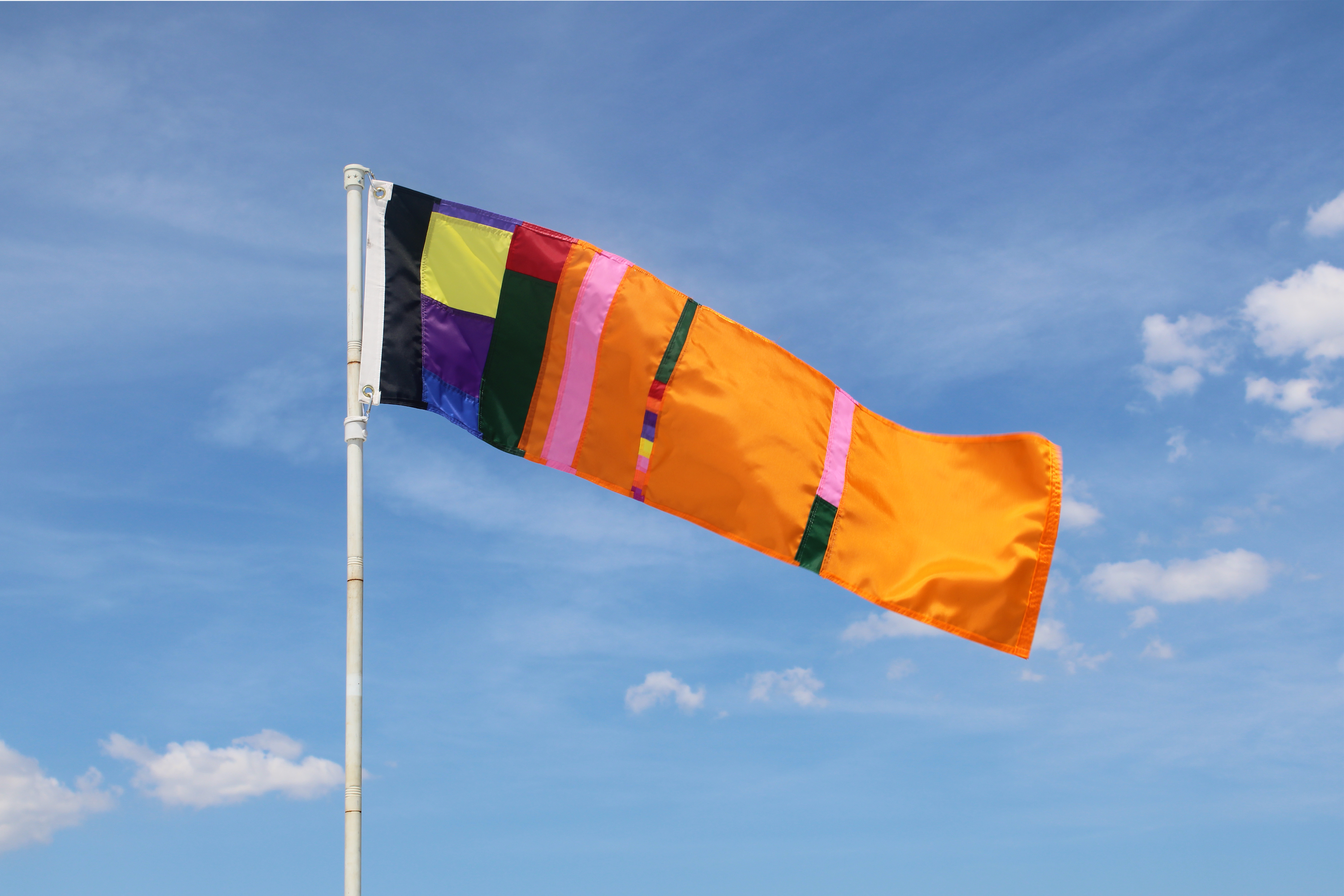 Utopian Pride Flag #10