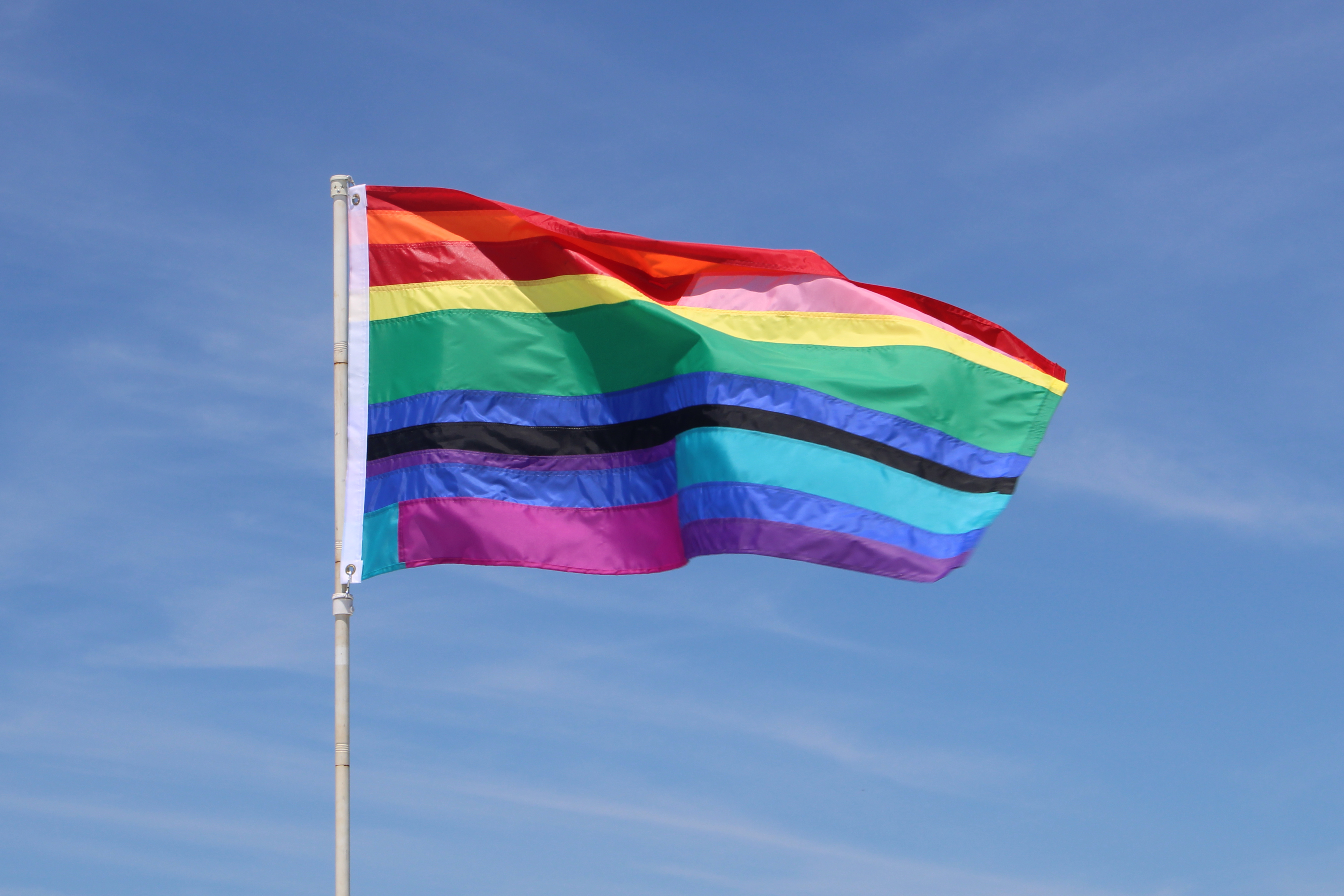 Utopian Pride Flag #25