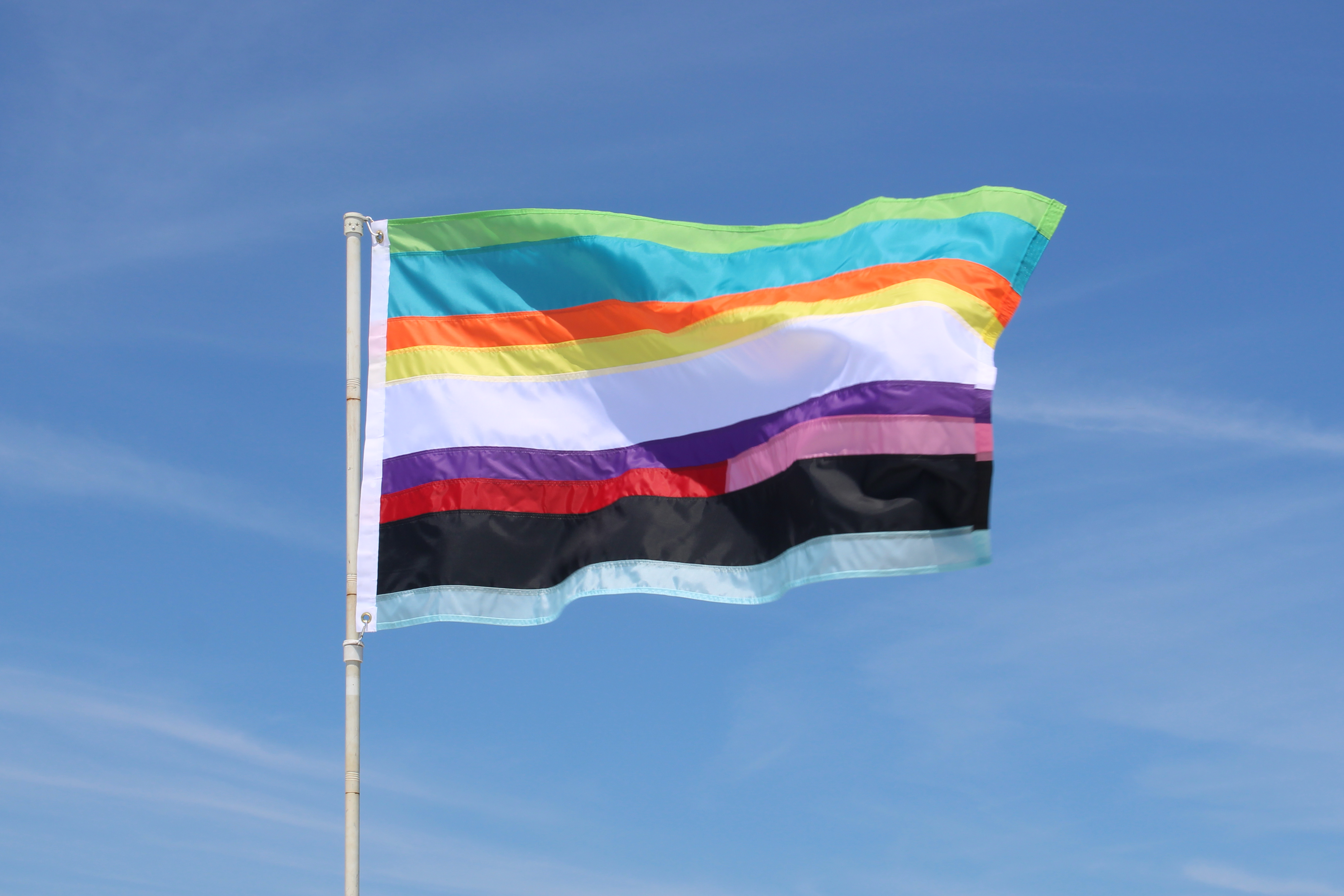 Utopian Pride Flag #30