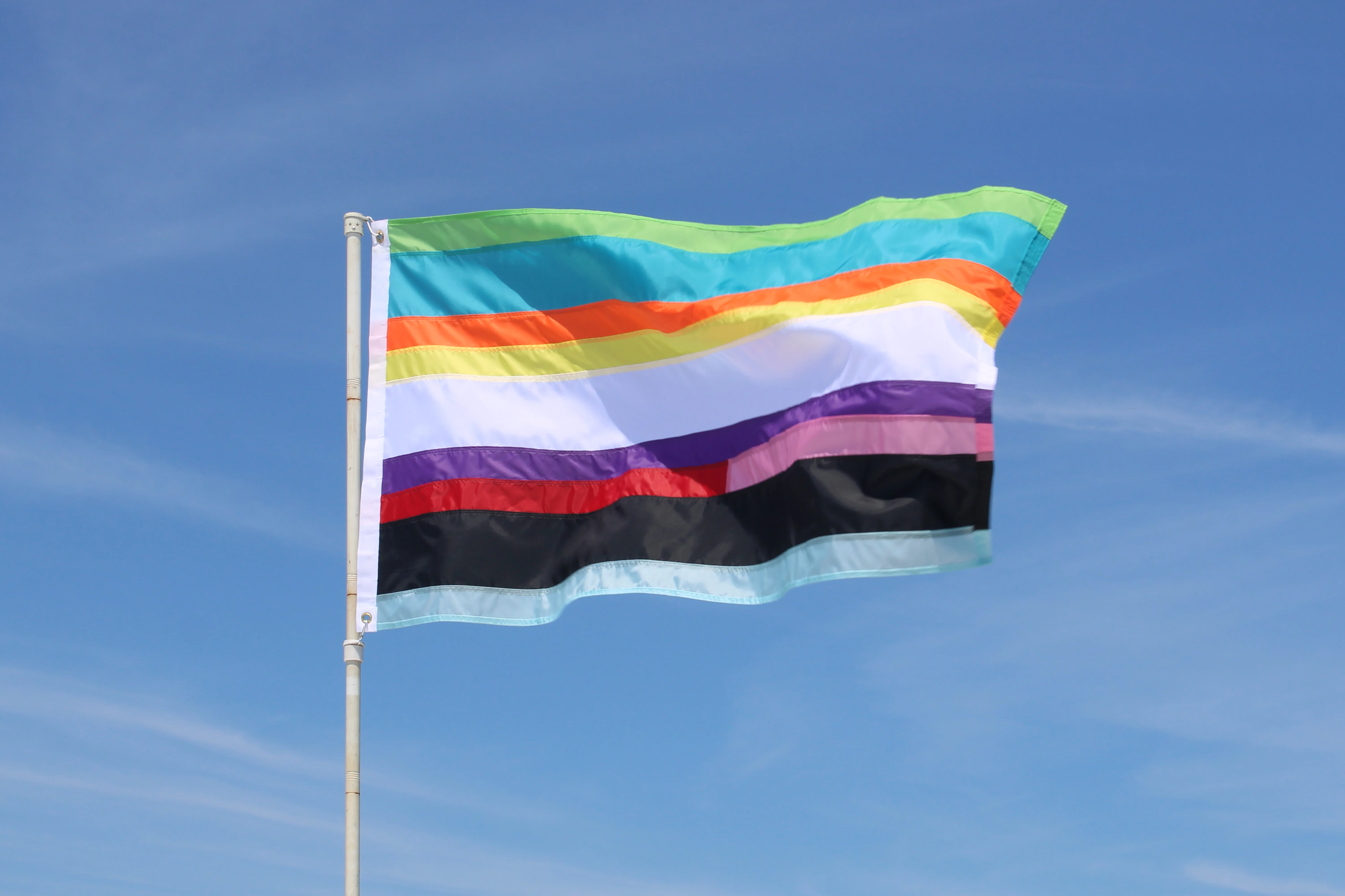 Utopian Pride Flag #30