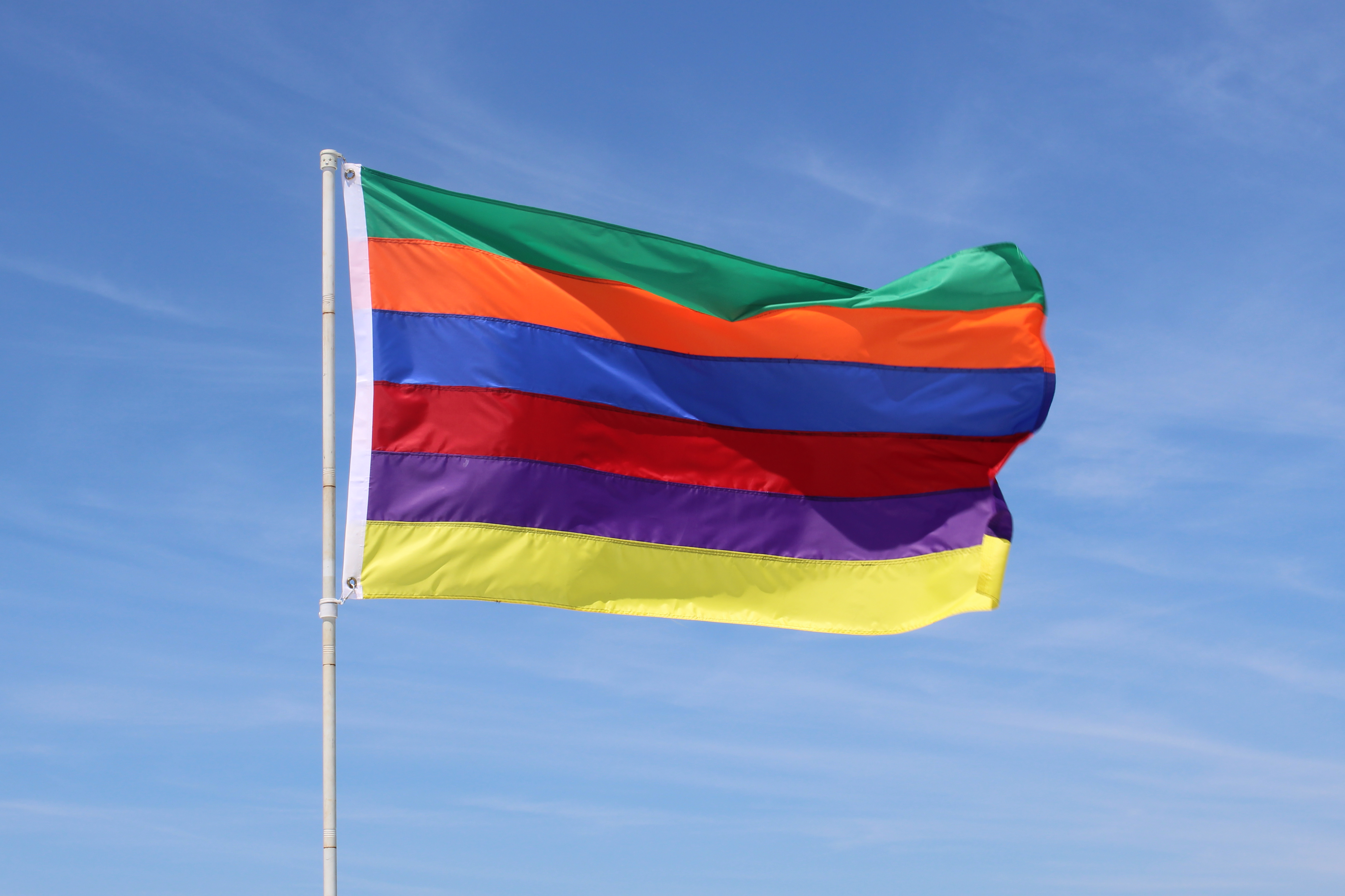 Utopian Pride Flag #5