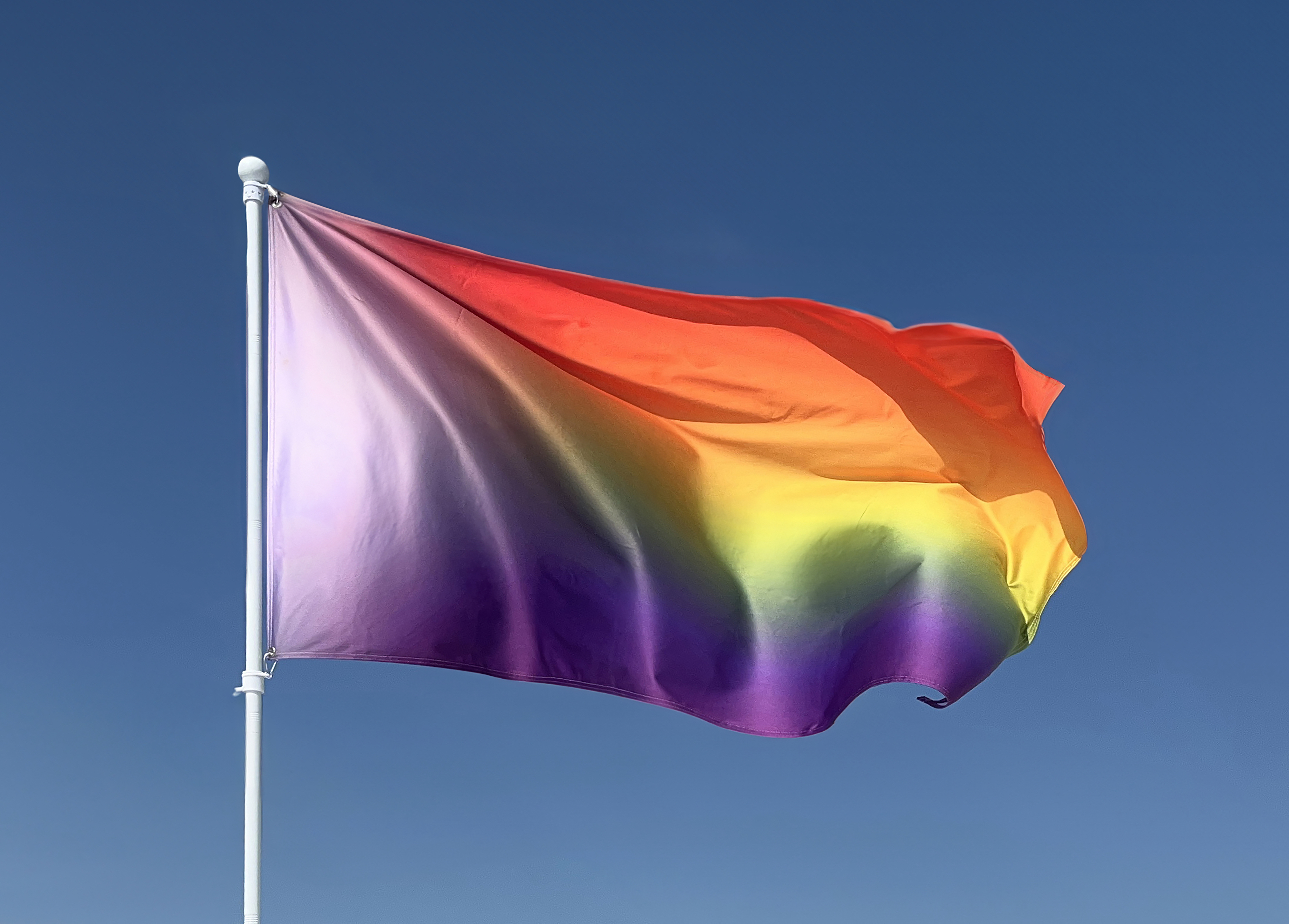 Utopian Pride Flag #6