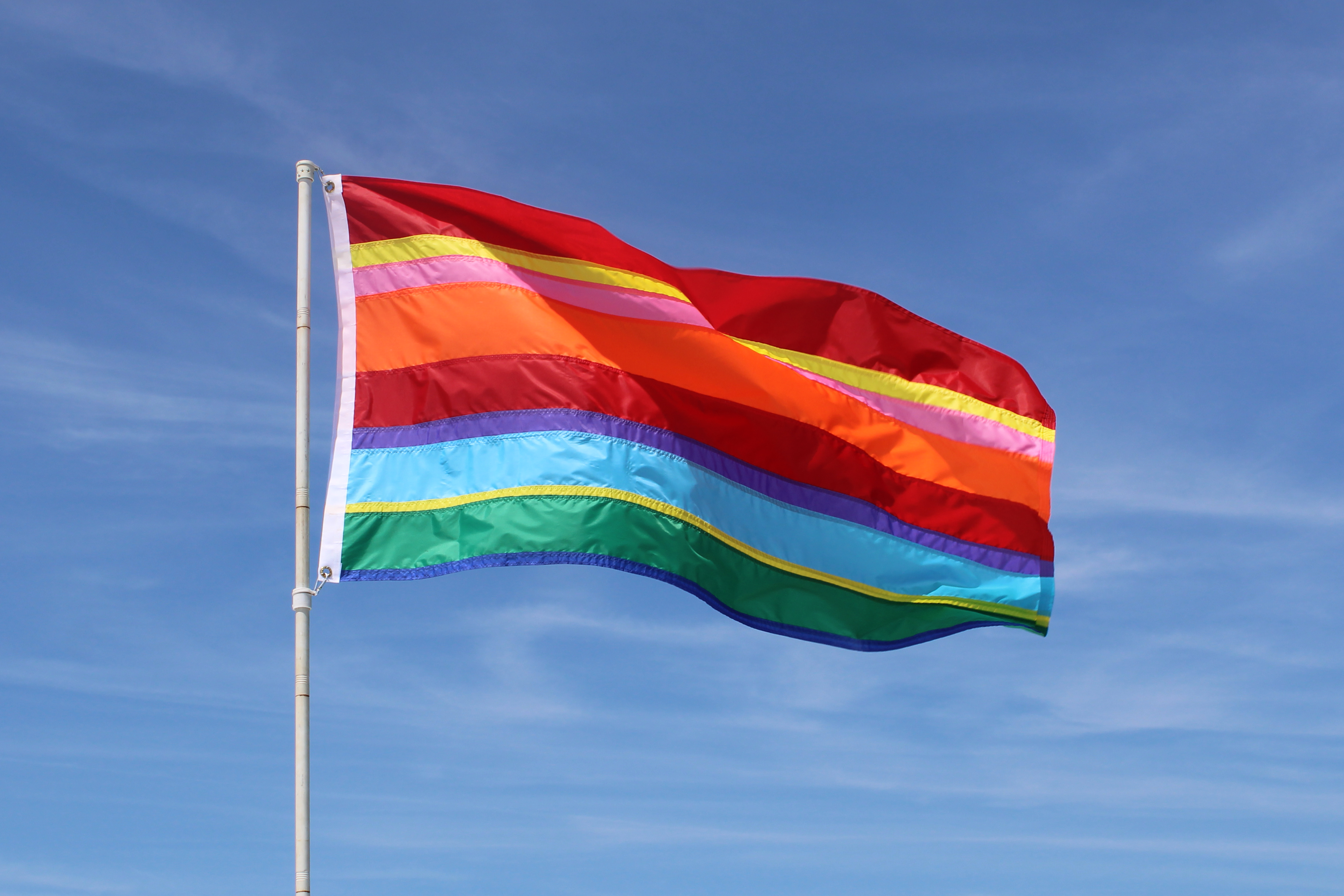 Utopian Pride Flag #9
